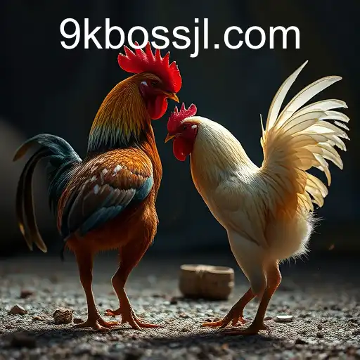 Gaming Experience 9kBOSS - 800+ Premium and Exclusive Games